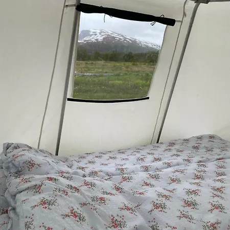 Lapland Reindeer Farm Tromso