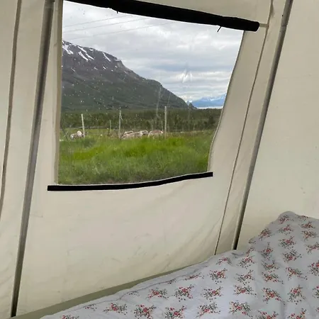 Lapland Reindeer Farm Luxury tent