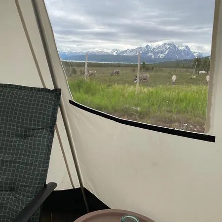 Luxury tent Lapland Reindeer Farm *